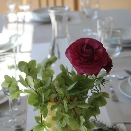 斯努克别墅 - 红色度假屋 度假居 巴德加斯坦